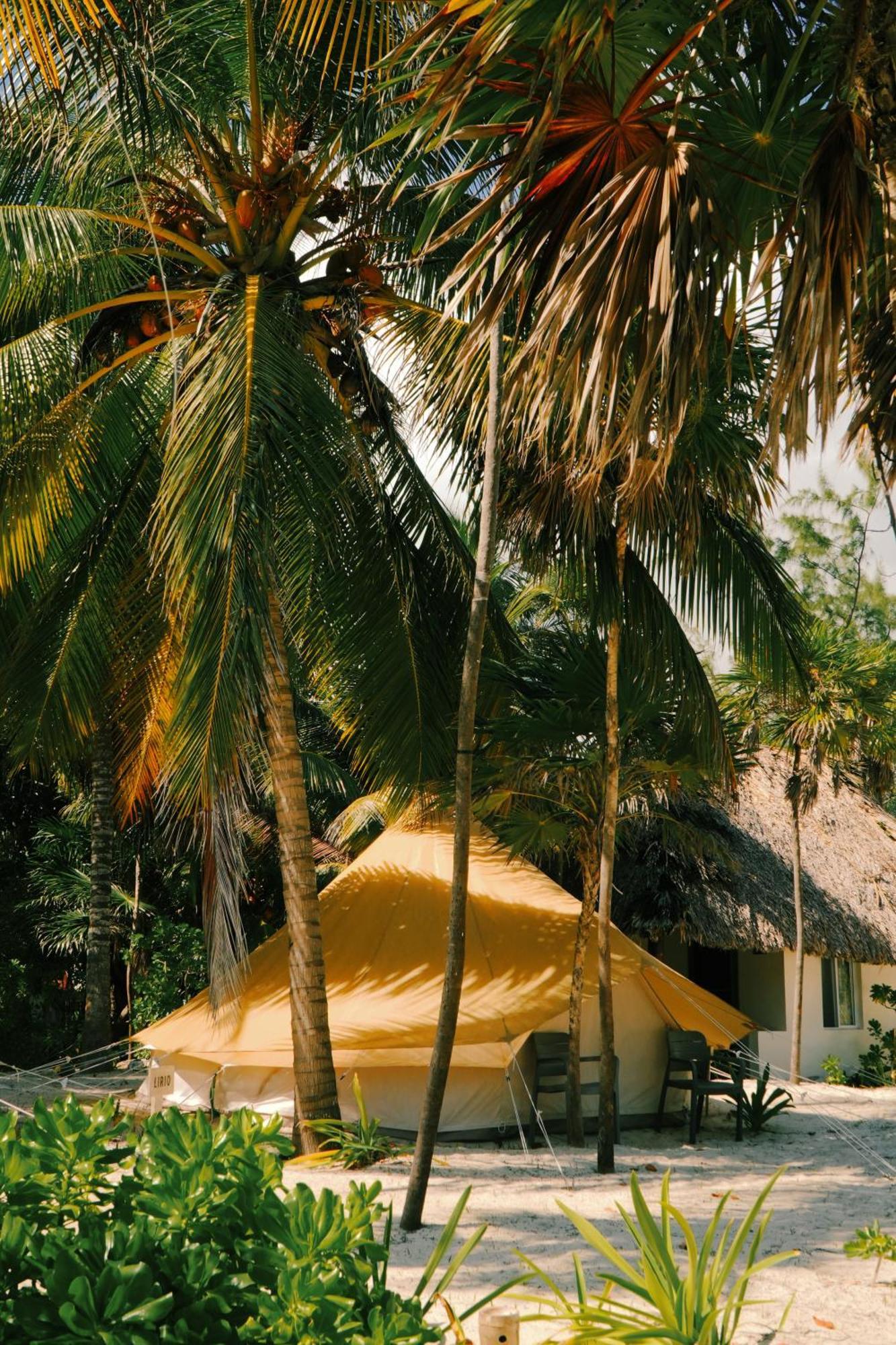 Hotel Cielo Y Selva Punta Allen Exterior foto