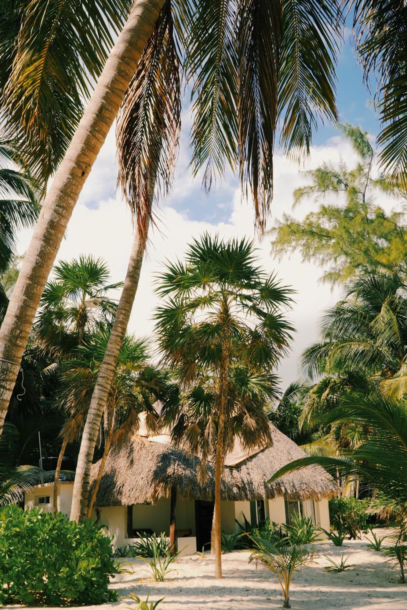 Hotel Cielo Y Selva Punta Allen Exterior foto